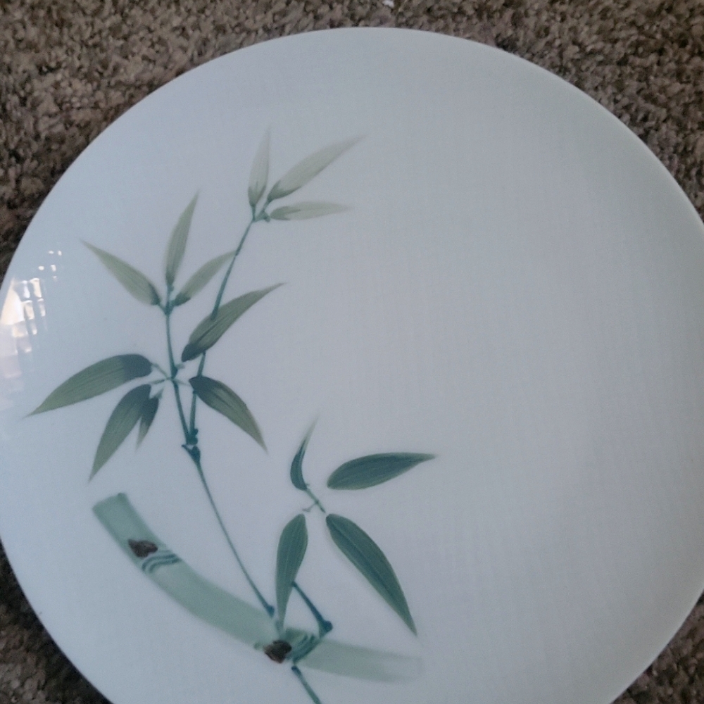 Vintage Hand Painted Bamboo plates made in Japan